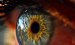 Thử nghiệm thuốc bổ sung các tế bào bị mất của mắt